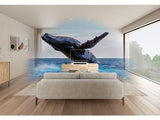 Barra de sonido - Sony HT-S2000, 3.1 Canales, Dolby Atmos, DTS:X, Bluetooth, Subwoofer integrado dual, 350 W, Sonido envolvente, HDMI, Negro